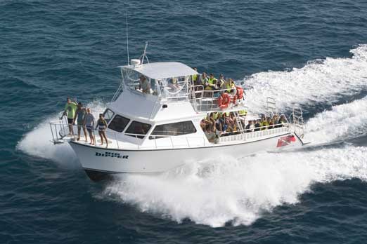 Ocean Sightseeing Dolphin Watch Cruise Myrtle Beach What To Expect Ocean Sightseeing And Dolphin Watch Cruise Myrtle Beach